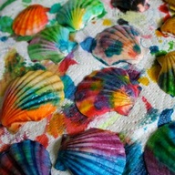 paint-your-own-sea-shell-arts-and-craft-project-for-parties-and-events